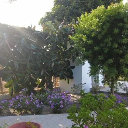 Haus Anderes